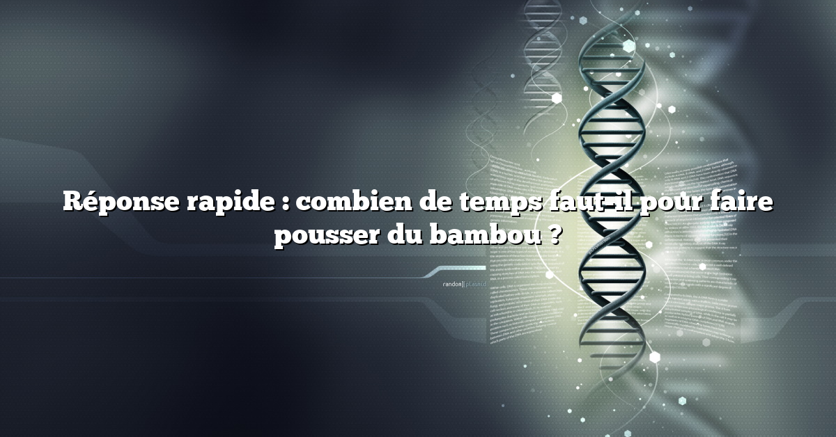 Réponse rapide : combien de temps faut-il pour faire pousser du bambou ?